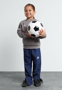 Grå hettegenser, marineblå treningsbukser med splitt, svarte sko, holder en svart og hvit fotball. Adidas-logoer på klærne.