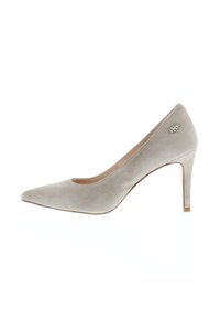 Gray suede high-heeled shoe with a pointed toe and a slim, tapered heel. Features a small embellishment on the side.