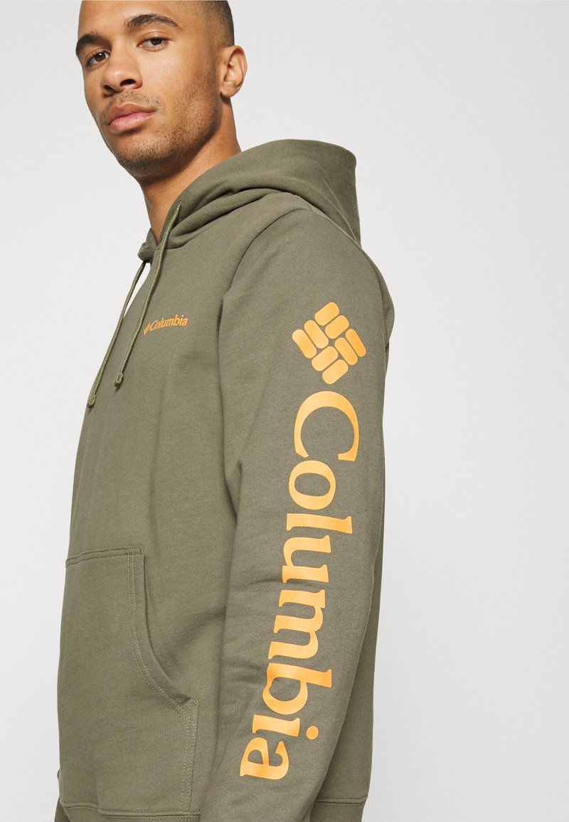 Columbia VIEWMONT™ II SLEEVE GRAPHIC HOODIE - Hoodie - stone green/dark  green - Zalando.ie