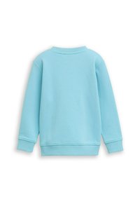 Light blue sweatshirt with round neck, ribbed cuffs, and hem. Smooth texture, no visible patterns or additional details on the back.