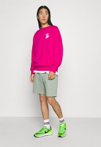 Brave Soul TARLEY - Shorts - mint green