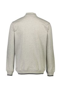Felpa grigia chiaro con collo e orlo a coste, maniche lunghe. I polsini presentano un dettaglio a striscia scura. Tessuto dalla texture liscia.