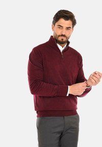 Maglione bordeaux con zip e maniche lunghe, con polsini a coste, indossato sopra una camicia bianca, caratterizzato da una superficie in tessuto liscia.