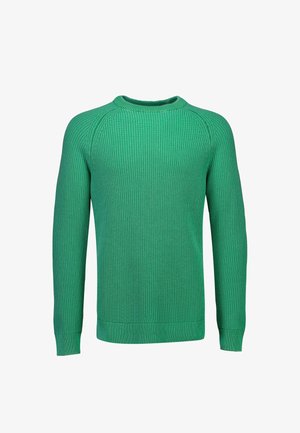 Suéter verde de punto con mangas largas, cuello redondo y puños y dobladillo acanalados, mostrado sobre un fondo blanco.