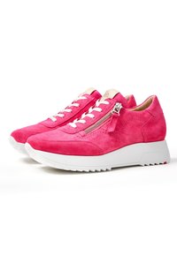 Lloyd MODERNER - Sneaker low - fuchsia