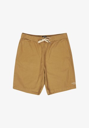 Hnedé šortky s elastickým pásom, bielym sťahovacím šnúrkou a malým bielym logom na ľavom leme, zobrazené na plochom bielom pozadí.