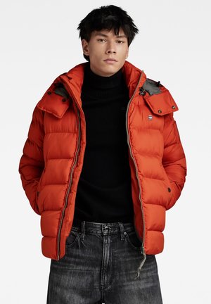 G-STAR WHISTLER - Chaqueta de invierno - rooibos tea