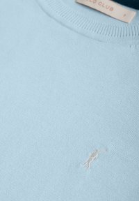 Pull tricot bleu clair avec col côtelé et petit logo brodé d'un joueur de polo blanc sur la poitrine.
