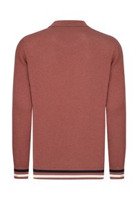 Felix Hardy Pikkade varrukatega topp - light red