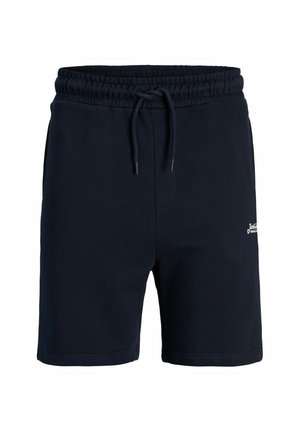 REGULAR FIT - Donji dijelovi trenirke - sky captain