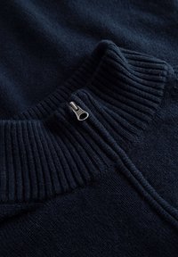 DOUBLE A BY W.W. WWTAY HALF ZIP - Strickpullover - salute