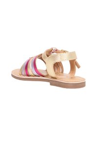 Sandal in oro e multicolore con più cinghie, suola piatta, retro chiuso e un accento intrecciato sul tallone per il fissaggio.