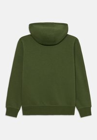 Sweatshirt de algodão verde com capuz espaçoso, mangas longas e punhos canelados. Textura suave com uma cor sólida e sem padrões visíveis.