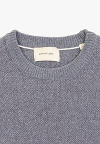Grijze gebreide trui met een geribbelde ronde hals. Heeft een textuurpatroon en een label met de tekst "GIANNI LUPO." Zachte stofafwerking.
