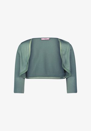 Geknipte cardigan in lichtgroene stof, met lange mouwen en een open voorkant. Zachte textuur en subtiele glans op de randen. Etiket zichtbaar aan de achterkant.