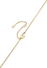 Bracciale in oro con chiusura a moschettone. Presenta maglie fini, lunghezza regolabile con catena di estensione, superficie liscia e finitura lucida.