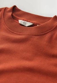Rdzawy sweatshirt z ryflowanym okrągłym dekoltem i gładką fakturą. Metka wskazuje "Next Edit Relaxed Fit". Prosty, minimalistyczny design.