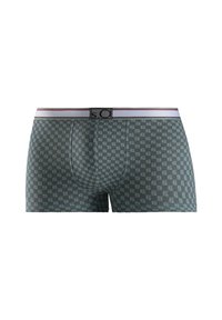Men's boxer shorts in dark green with a checkered pattern. Feature a soft elastic waistband with logo and contrasting stripes. Stretch fabric.