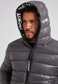 Chaqueta acolchada gris con un alto cuello y capucha adjunta. Presenta detalles del logo en el forro de la capucha y en la cremallera. Textura suave y brillante.