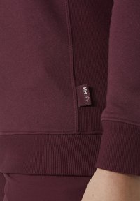 Sudadera color burdeos con puños y dobladillo de canalé, con una pequeña etiqueta de marca cosida en el lateral. Textura suave, diseño ajustado.