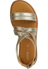 Zlaté kovové sandály s několika popruhy, hladkým texturovaným stélkou a hnědou gumovou podešví. Obsahují branding Geox a perforace.