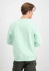 Felpa verde menta con scollatura tonda, maniche lunghe e polsini a coste. Caratterizzata da un tessuto texturizzato e un piccolo etichetta sul retro.