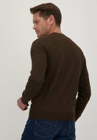 Dansaert Blue LARCH - Trui - siennabrown