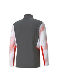 Puma INDIVIDUALCUP  - Langarmshirt - asphalt red blast