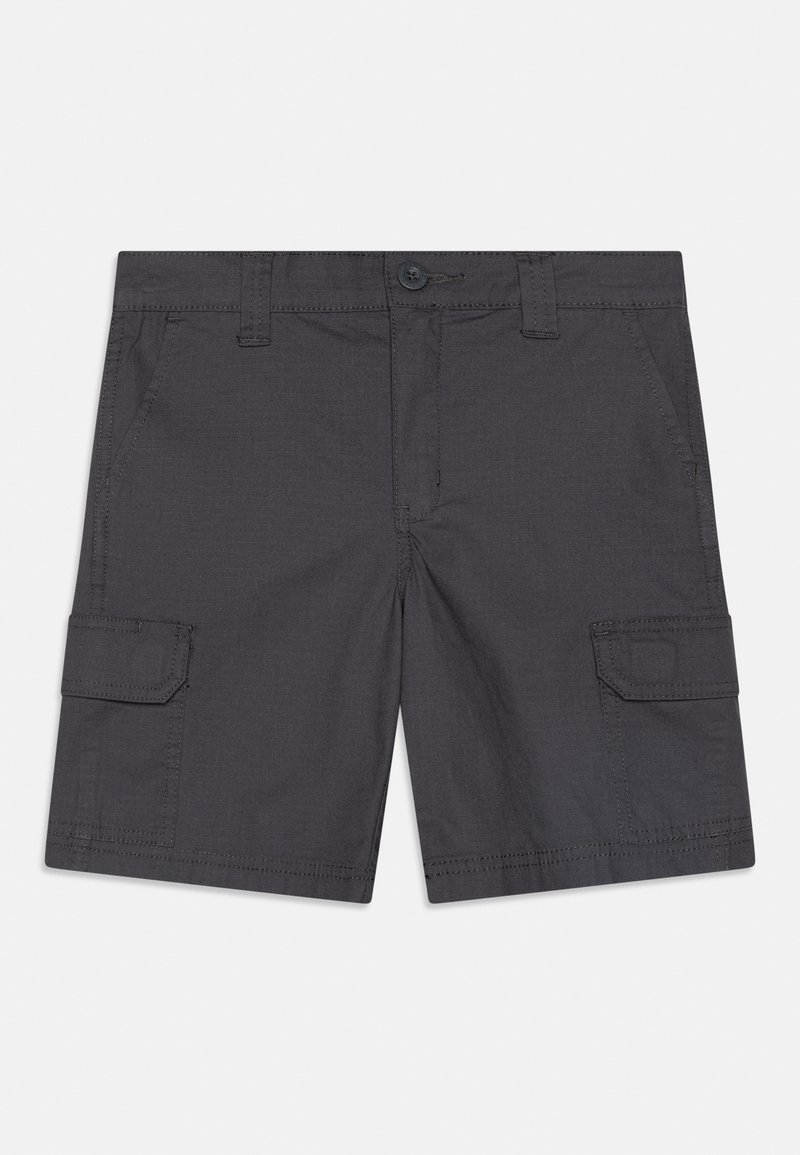 Dickies Cargobroek grijs