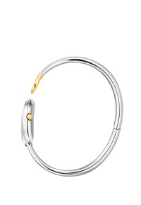 Sudraba aproce ar gludu, noapaļotu dizainu, kas rotāta ar zeltītu akcentu un nelielu dekoratīvu detaļu, ar spīdīgu apdari.