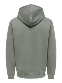 Effen grijze hoodie met lange mouwen en geribbelde boorden, van achteren weergegeven op een witte achtergrond.