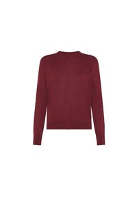 Maglione borgogna con un motivo a trama, maniche lunghe e orlo a costine. Design con collo a girocollo, materiale in maglia morbido. Vista posteriore mostrata.