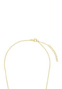 Collar de cadena de oro delicada con un cierre de langosta y eslabones de extensión ajustables sobre un fondo blanco.