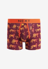Next PATTERN FOUR PACK - Boxerkalsong - ombre animal