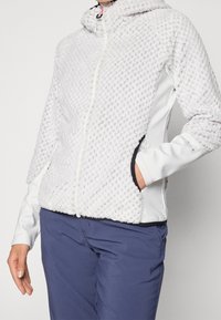 Icepeak Fleece jacket - grey