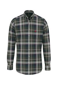 Groen geruit overhemd met knopen, voorzien van witte en bordeauxrode strepen, een klassieke kraag, lange mouwen en een klein rood logo op het borstzakje.