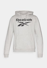 BIG LOGO HOOD - Mikina s kapucí - medium grey heather