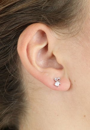Zilveren studs met een hart en cubic zirconia, voorzien van een gepolijste afwerking en een eenvoudig, elegant ontwerp.