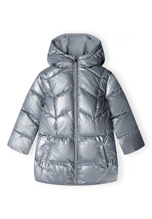 Doudoune argentée brillante avec capuche, fermeture éclair à l'avant, deux poches latérales et motif chevron cousu sur fond blanc.