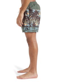 Shorts de bain verts avec un motif de palmier en marron et bleu. Comprend une taille élastique, un cordon de serrage et un patch logo de la marque.