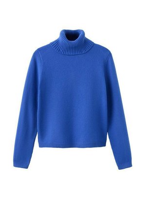 Suéter de cuello alto azul hecho de un suave tejido de punto. Presenta un cuello acanalado, mangas largas y un dobladillo corto para un ajuste moderno.