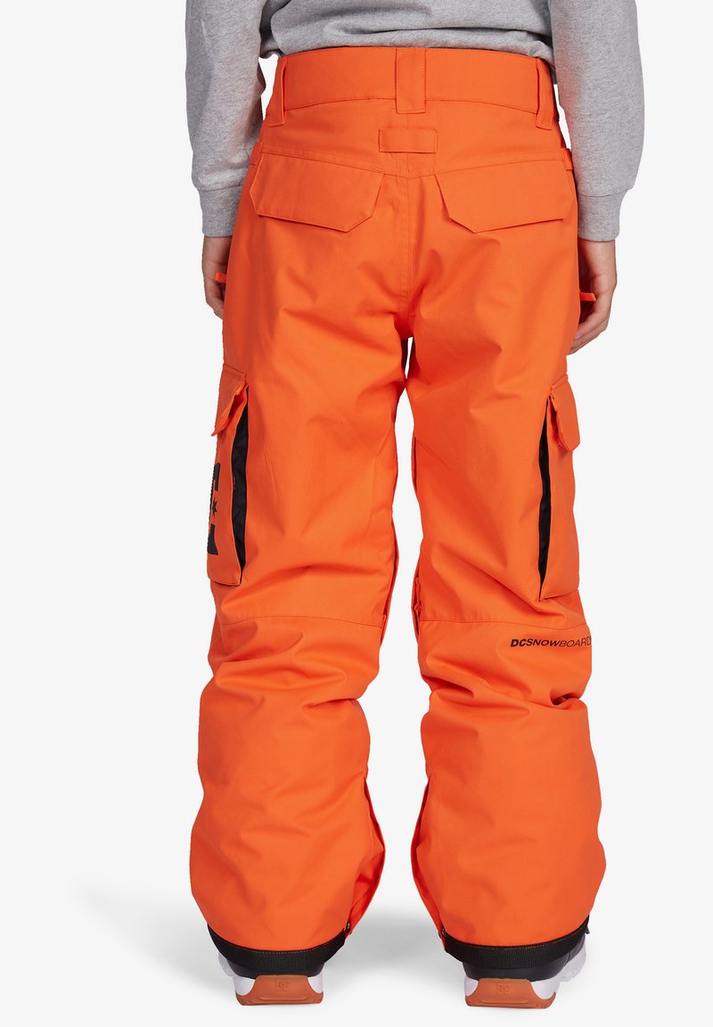 Сноубордические штаны burton мужские. Штаны для сноуборда желтые. Qiaolan clothing брюки. Сноубордические штаны banshee. Dc banshee штаны.