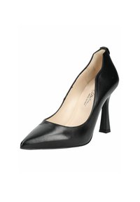 Escarpin noir à talon haut avec un bout pointu, en cuir lisse, découpe latérale légèrement arrondie et un talon épais et carré.