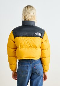 Pūkains jaka ar pelēku augšdaļu un spilgti dzeltenu apakšdaļu. Īpašības ietver augstu apkakli un The North Face logo uz pleca.