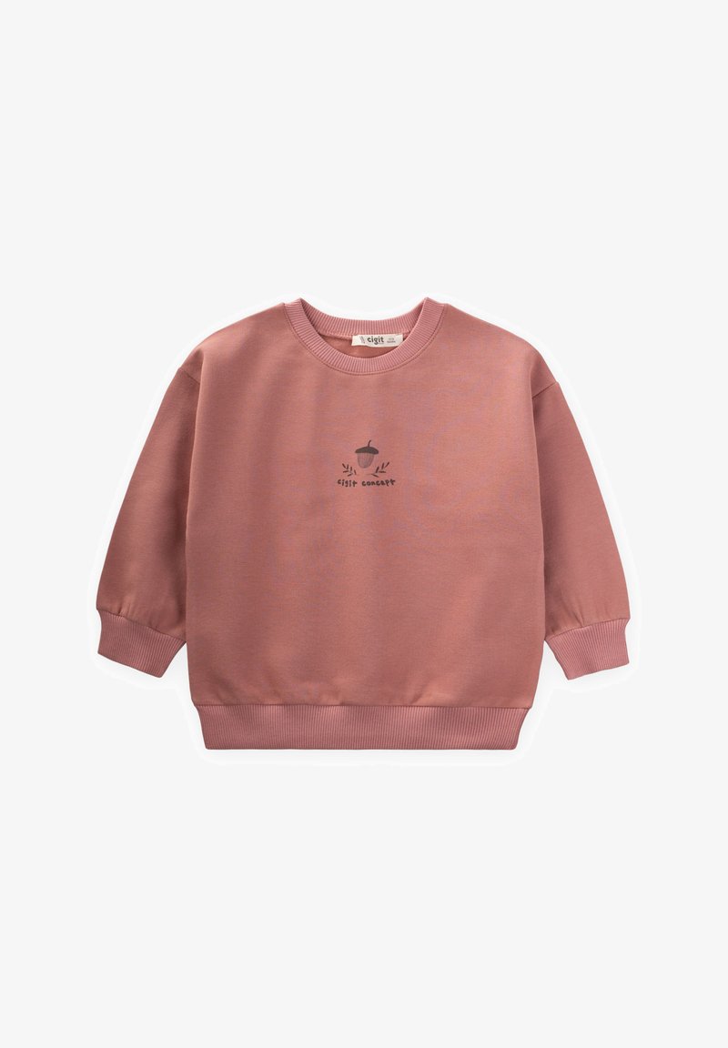 Sudadera rosa de tejido suave, con cuello redondo y puños acanalados. Gráfico central de una bellota con el texto "concepto digital" debajo.