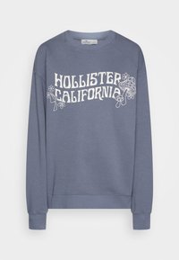 Blå sweatshirt i bomull med en vit grafisk textdesign "HOLLISTER CALIFORNIA" med blommor och svampar. Ribbad ärm.