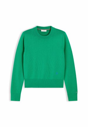 Tommy Hilfiger, TOMMY HILFIGER PREMIUM KNIT CREW NECK JUMPER - Strickpullover - green