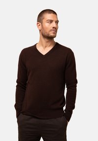 Brązowy sweter w dekoltem w serek, wykonany z miękkiego materiału, z długimi rękawami i dopasowanym krojem. Gładka faktura z minimalnymi detalami.