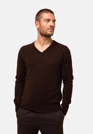 Bruine v-halstrui van zachte stof, met lange mouwen en een getailleerde pasvorm. Soepele textuur met minimale details.