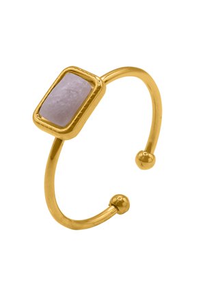 PERNA  - Ring - goldfarbend